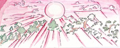 sunset after wildfire